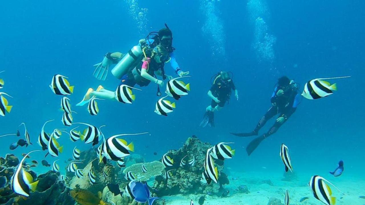 Sunia Loka Bungalows & Dive Center بيموتيران المظهر الخارجي الصورة