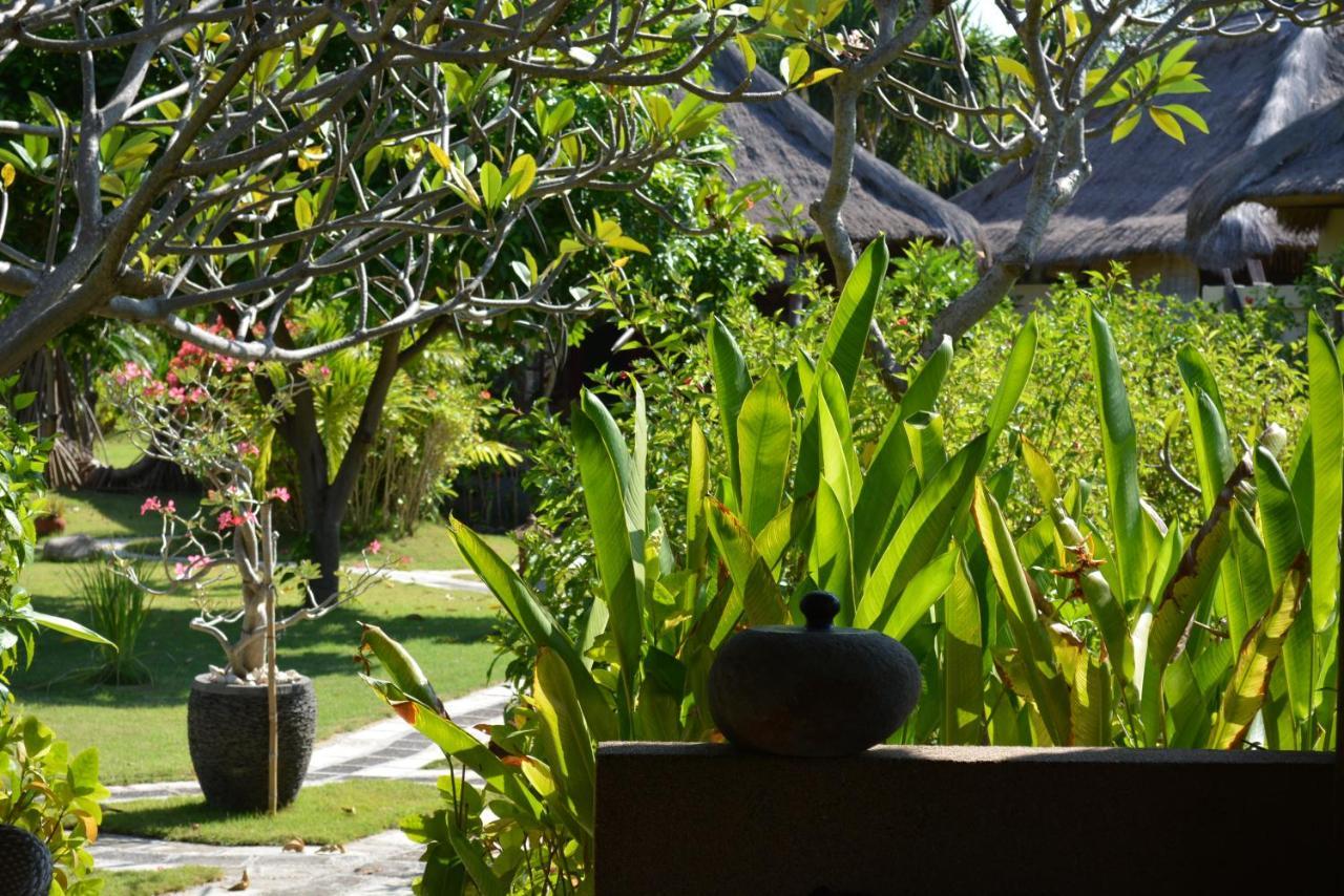 Sunia Loka Bungalows & Dive Center بيموتيران المظهر الخارجي الصورة