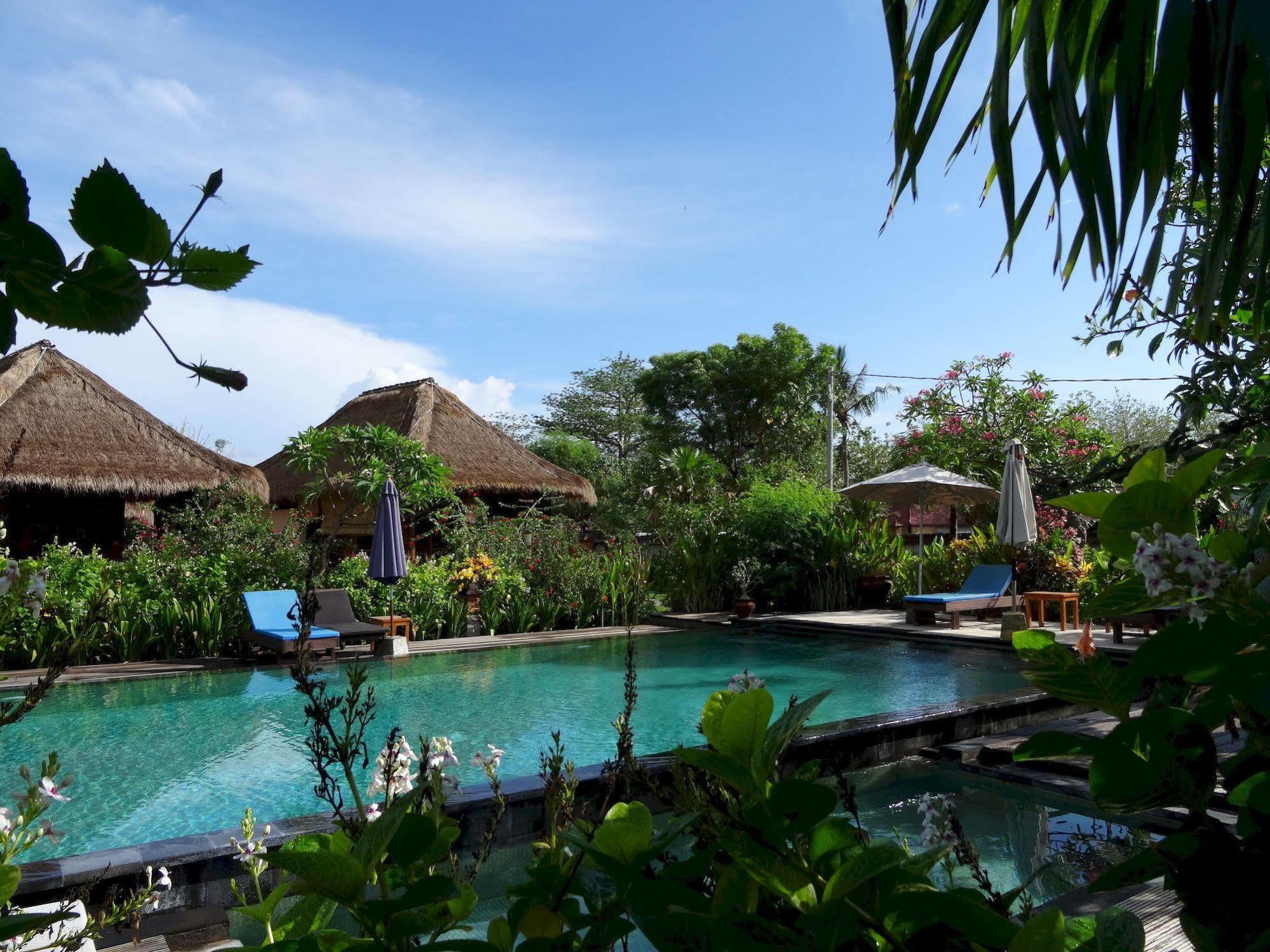 Sunia Loka Bungalows & Dive Center بيموتيران المظهر الخارجي الصورة