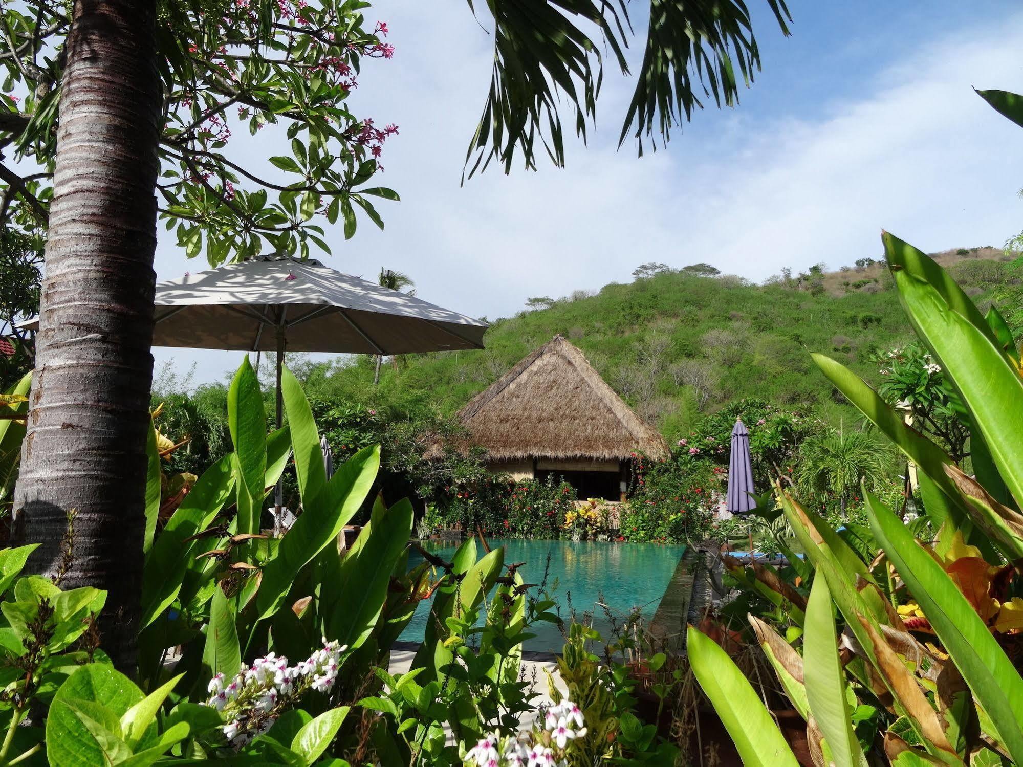 Sunia Loka Bungalows & Dive Center بيموتيران المظهر الخارجي الصورة
